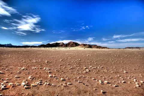 Desert Stock Photos