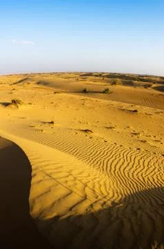 Desert Stock Photos