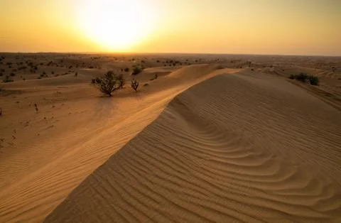 Desert Foto stock
