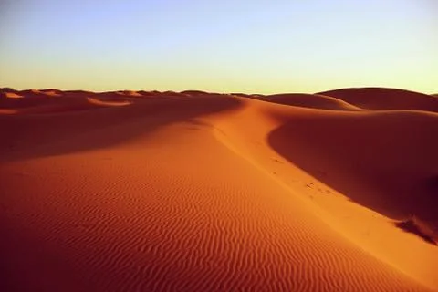 Desert Stock Photos