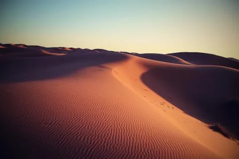 Desert Stock Photos