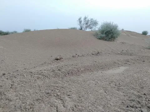 The desert Foto stock