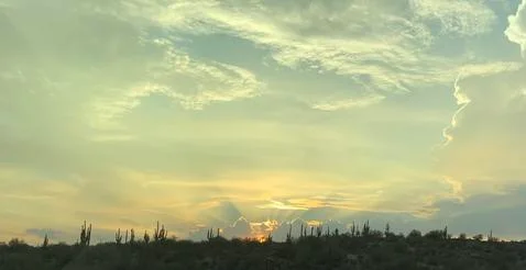 Desert 스톡 사진