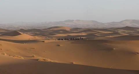 Desert Stock Photos