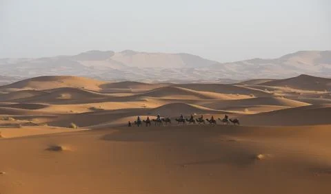 Desert Stock Photos