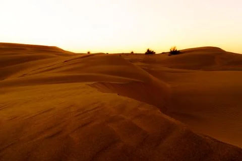 Desert Stock Photos
