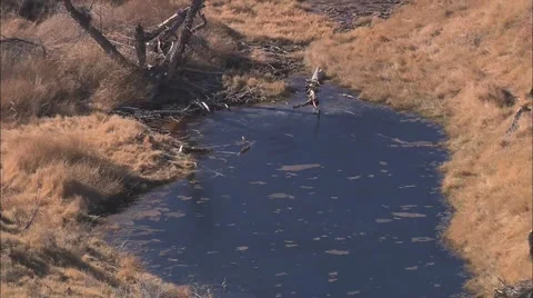 Desert Plain Water Stock Footage 40681282