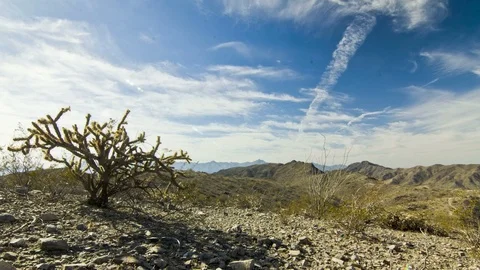Desert Plant and Moving Clouds Timelapse in Phoenix, Arizona 4K 動画素材 71932662