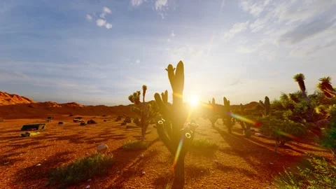 Desert plants and desolate next door landscape Stock-Footage 288195481