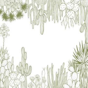 Desert plants, cacti. Vector background. Stock Illustration