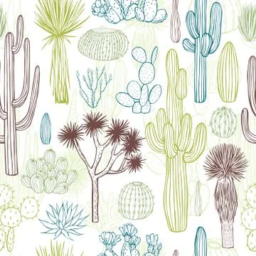 Desert plants, cacti. Vector  seamless pattern. Stock Illustration