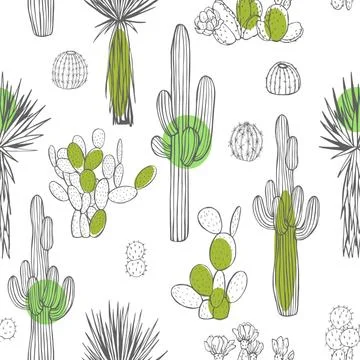 Desert plants, cacti. Vector  seamless pattern. Stock Illustration
