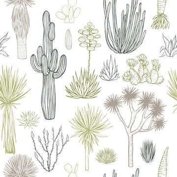 Desert plants, cacti. Vector  seamless pattern. Stock Illustration