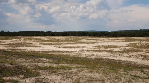 Desert in Poland pan shot Video stock 129757730