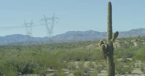 Desert Power Stock Footage 44265353