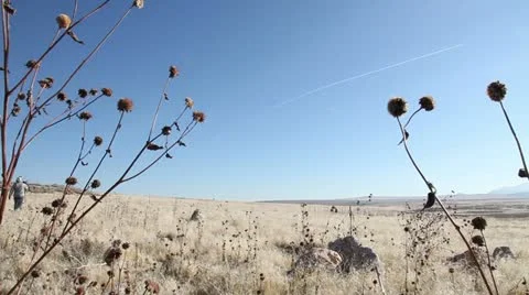 Desert Prarie Pan 動画素材 12554359