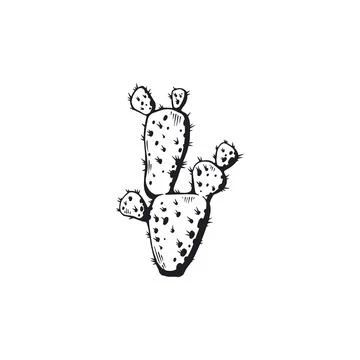 Desert Prickly pears cactus black contour vector icon, hand drawn succulent.. Stock Illustration