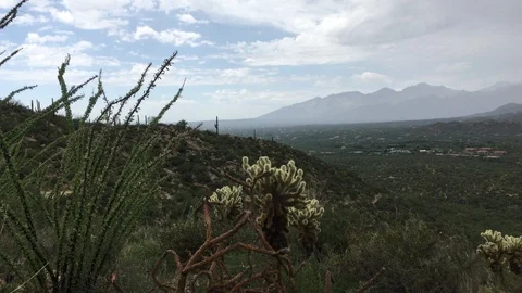 Desert Rain 库存影片 93812871