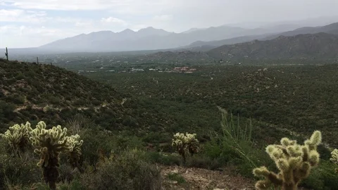 Desert Rain 库存影片 93812900