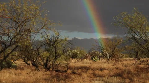Desert Rainbow Stock Footage 39565570