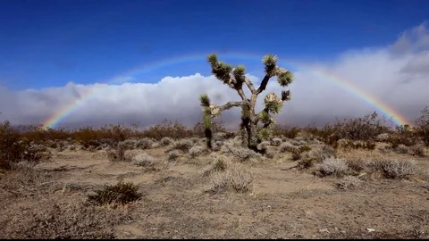 Desert Rainbow Stock Footage 104848736