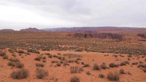 Desert With Red Orange Sand And Shrubs In The Western United States Stock Footage 201206115
