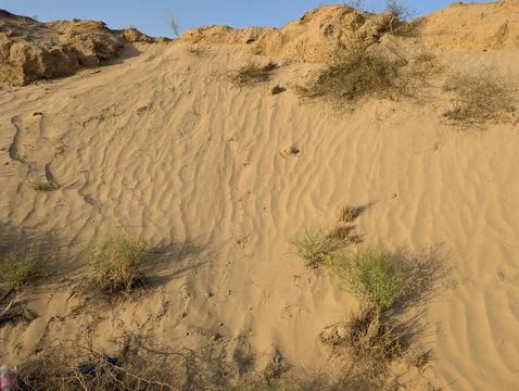 Desert Rippled Sand Dunes with Sparse Dry Vegetation Stock Photos