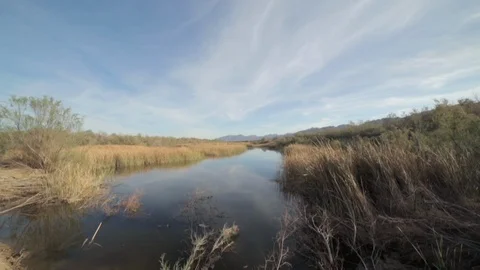Desert River in the Backwoods Stock Footage 94644007