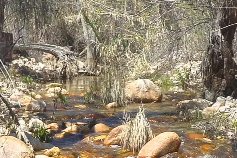 Desert River flowing through landscape Stock Footage