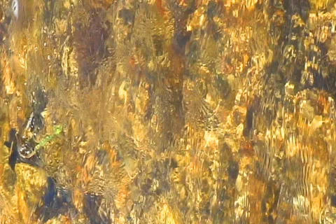 Desert River flowing water Stock Footage 655607