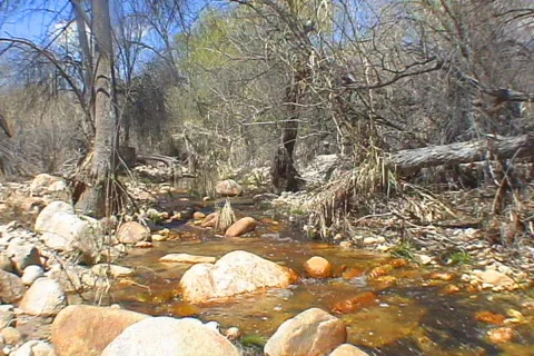 Desert River flows Stock Footage 655492