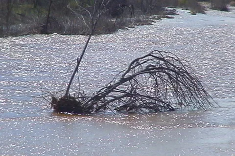 Desert River flows through the desert Stock Footage 655347