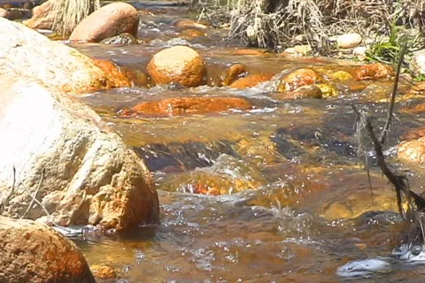 Desert River flows through the desert Stock Footage 655463