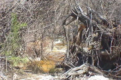 Desert River Stock Footage 655564