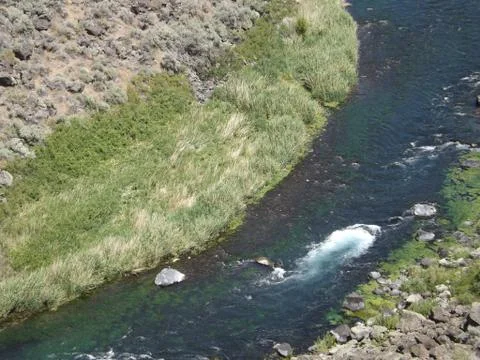 Desert River Stock Photos