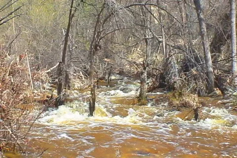 Desert River runs wild Stock Footage 655677