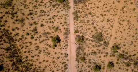 Desert Road Video stock 86847073