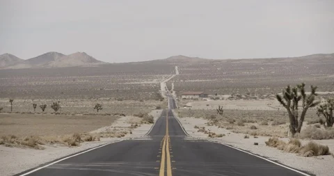 Desert Road with Joshua Tree and House in Distance Stock Footage 89942056