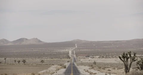 Desert Road with Joshua Tree and House in Distance - Tilt Down to Stop Stock Footage 89942063