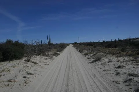 Desert Road Stock Photos