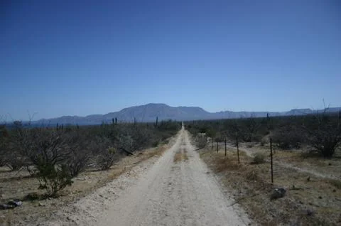 Desert Road Stock Photos