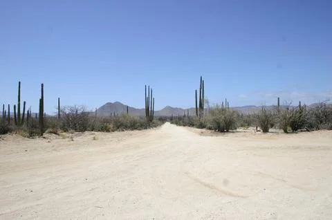 Desert Road Stock Photos
