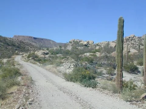 Desert Road Stock-Fotos