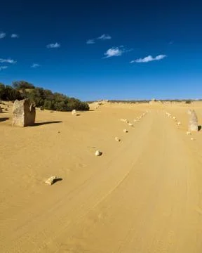 Desert road Stock Photos