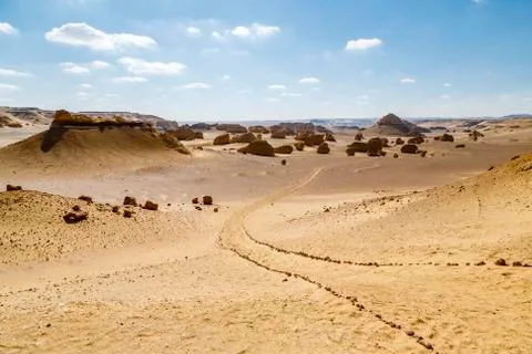 Desert Road Stock Photos