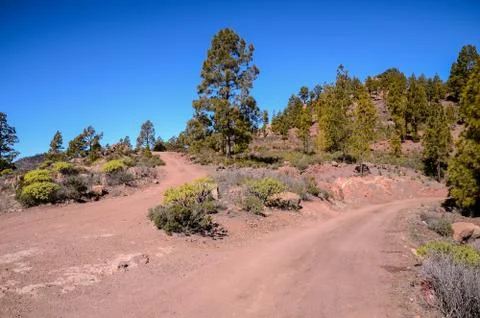 Desert Road Stock Photos