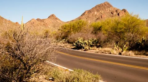 Desert Road Foto stock