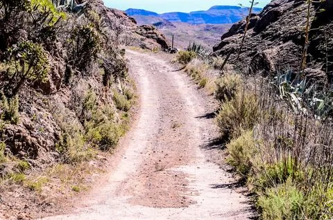 Desert Road Stock Photos