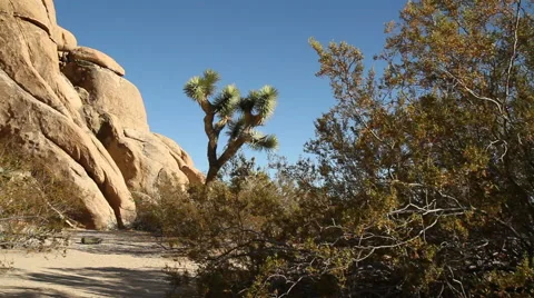 Desert Rock Stock Footage 40815350