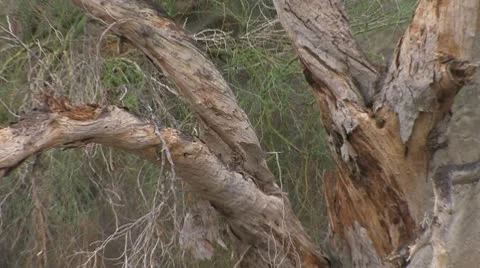 Desert Rocks 7 Stock Footage 10610583